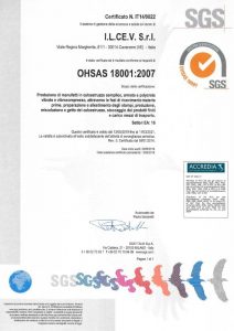 SGS OHSAS 18001:2007